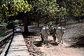 Angkor - Srah Srang, local life as seen among the temples